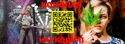 гидра Моздок