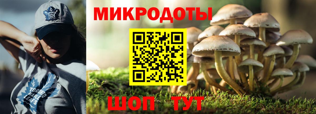 Дмитров  Галлюциногенные грибы мицелий  Вход с VPN 
