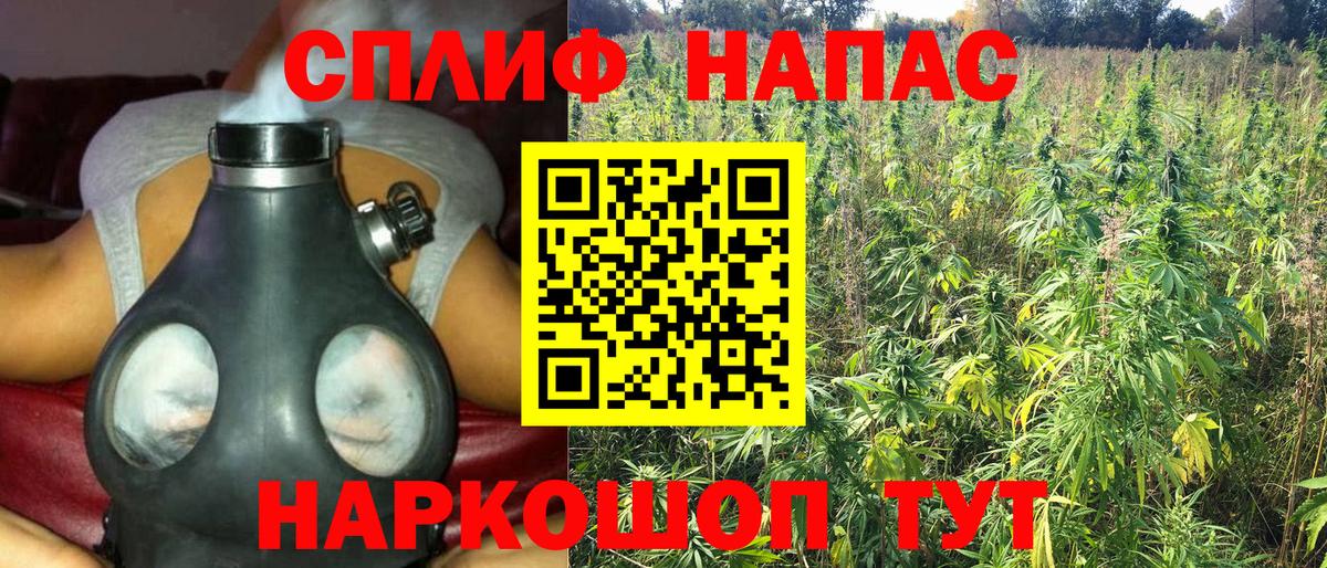 Бошки марихуана марихуана  МАРИХУАНА гибрид  МАРИХУАНА White Widow  Дмитров  Вход с VPN 